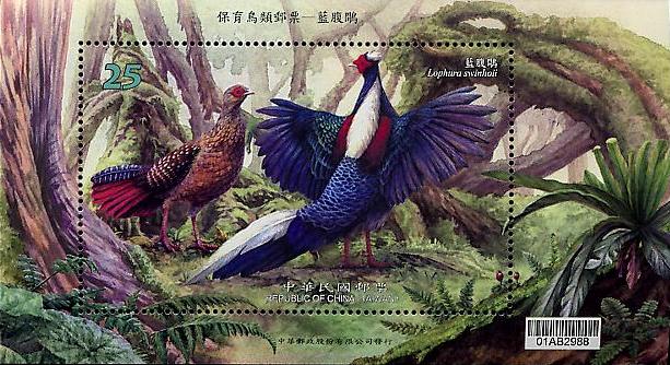 保育鳥類郵票-藍腹鷴 小全張