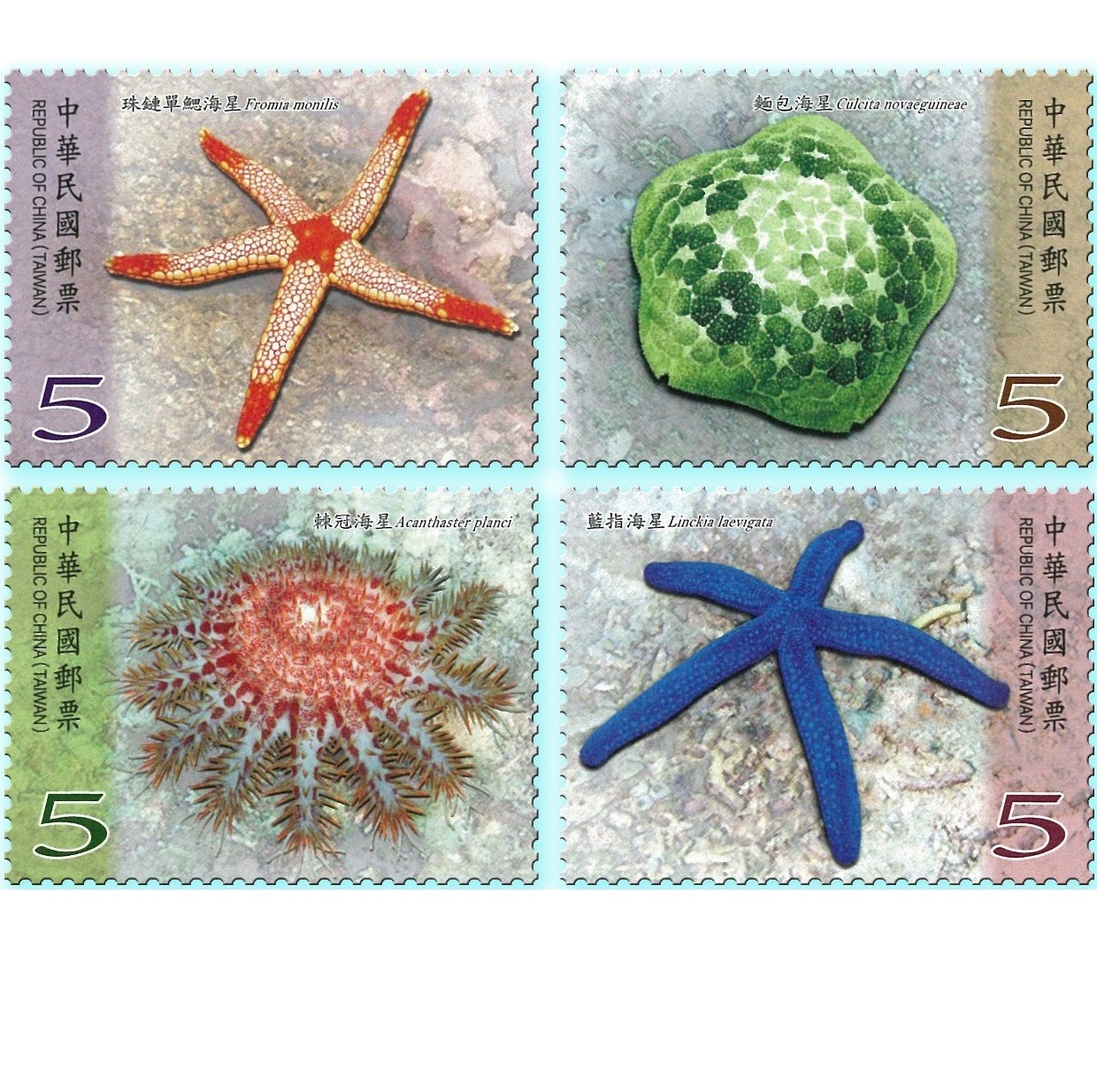 商品名稱_海洋生物郵票-海星