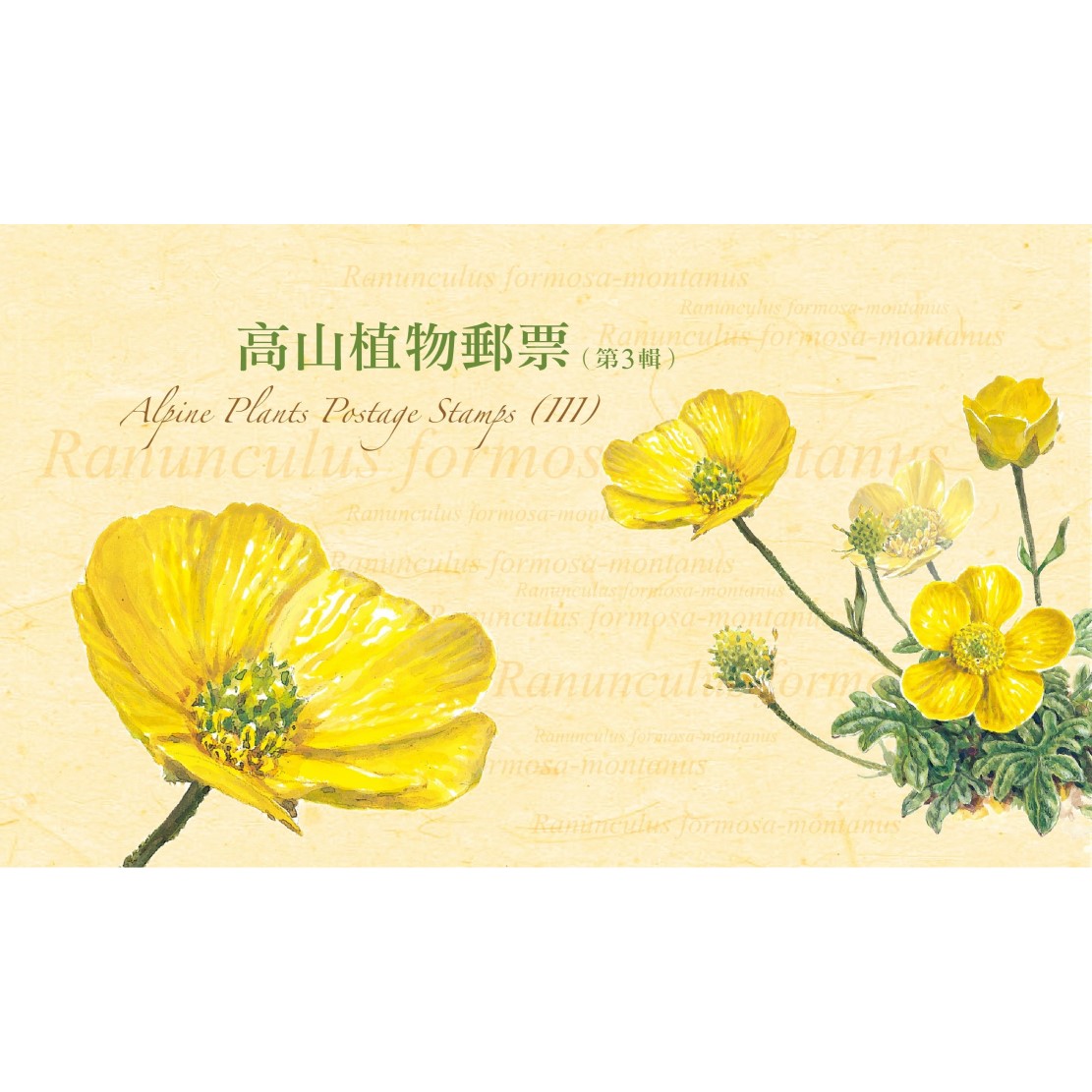 高山植物郵票(第3輯) 套票護票卡