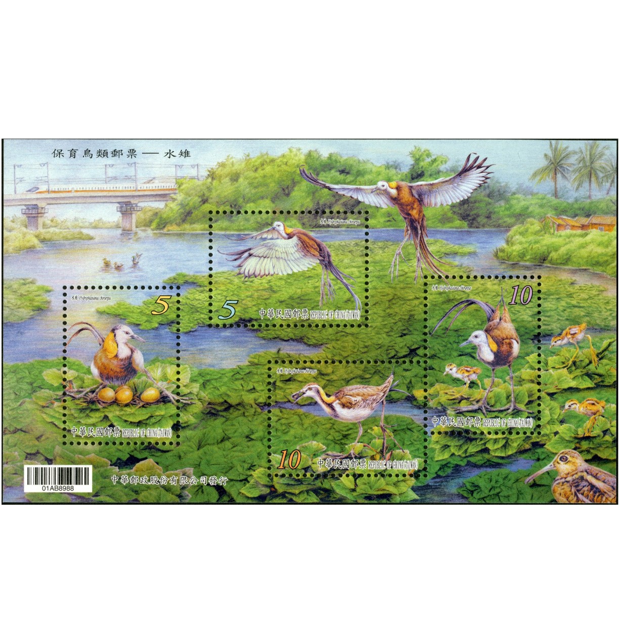 Conservation of Birds Souvenir Sheets－Pheasant-Tailed Jacana A